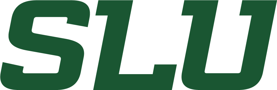 Southeastern Louisiana Lions 2021-Pres Wordmark Logo DIY iron on transfer (heat transfer)